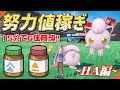 【ポケモンSV】15分で6体育成できる！初心者でも簡単にできる効率の良い努力値の振り方 HA編【対戦準備】