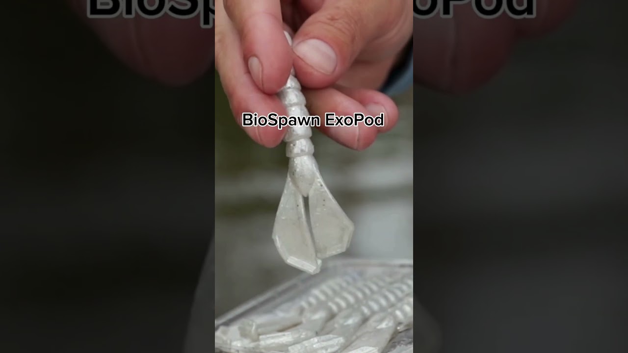 3 Chatterbait Trailers You NEED TO USE This Season