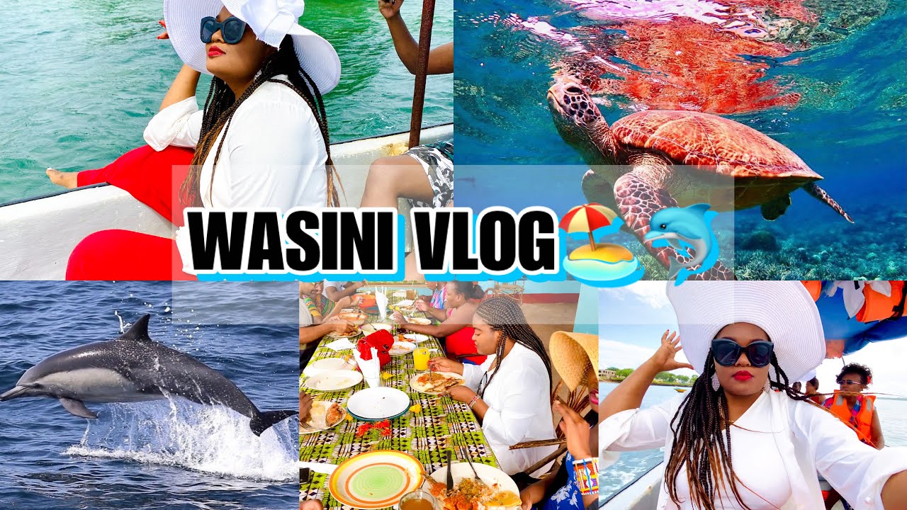 WASINI VLOG;Snorkelling,Dolphins,Sea food and mangrove boardwalk…part 2