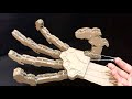 How to make a Mechanical Robot Hand out of Cardboard