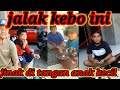 jalak kebo jinak MILIK PAK PUTU SUPARJANA(SUMBERKLAMPOAK)