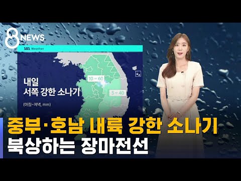 [날씨] 중부 · 호남 내륙 강한 소나기…장마 북상 중 / SBS