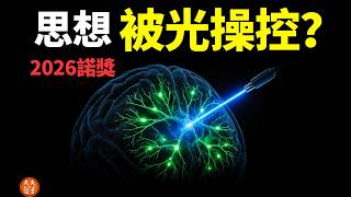 詳解2026醫學諾獎：一束光改變大腦思想，人還有自由意志嗎？| 2026諾獎解讀