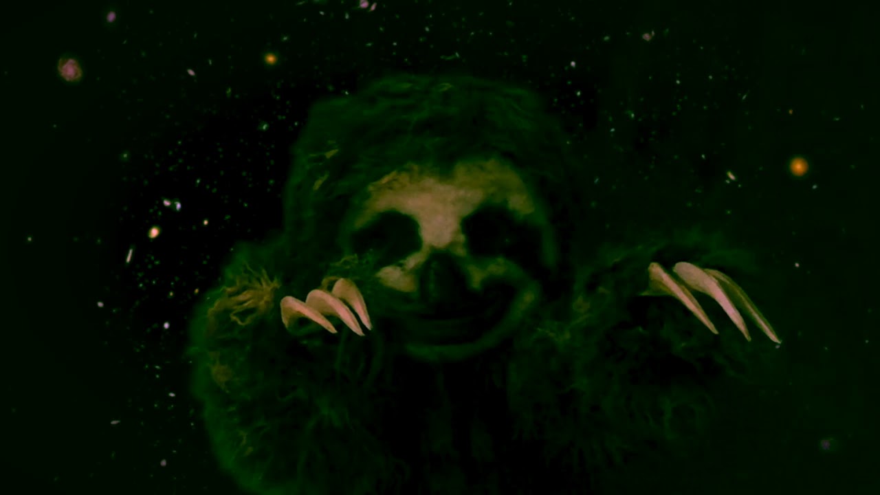 sloth in space