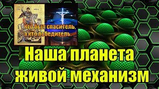 Наша планета живой механизм. Наша планета живой механизм.
