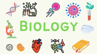 #6 A level Biology - Immunity (Part 1) 🦠