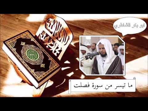 سورة فصلت ابو بكر الشاطري