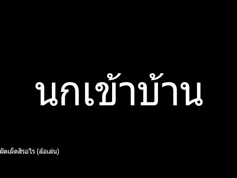 นกเข้าบ้าน (กล้องสั่น)