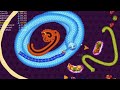 worms zone game live