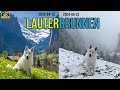 Lauterbrunnen  switzerland  from spring to winter again 4k