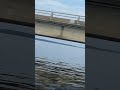 5/23/21 Lake Sam Rayburn 147 Bridge Update!!!!!