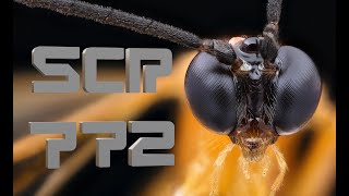 SCP-772 - Гигантские осы-паразиты