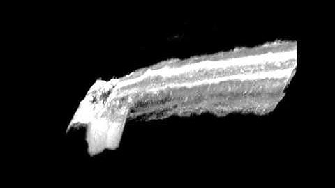 Ultra-high resolution Fourier domain optical coherence tomography for old master paintings