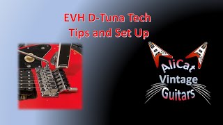 EVH D-Tuna Tech Tips and Set Up