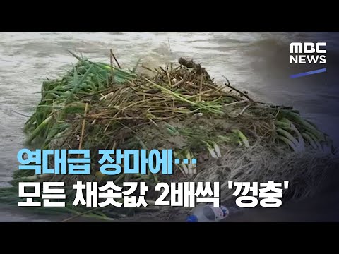 역대급 장마에…모든 채솟값 2배씩 '껑충' (2020.08.07/뉴스투데이/MBC)