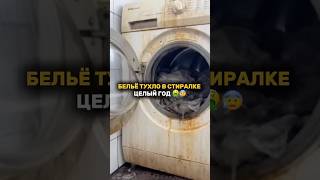 Артикул WB :Отбеливатель: #678183809(копируйте артикул )