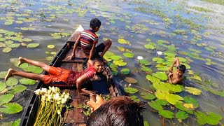 Picking Water Lilies And Having Fun In The River