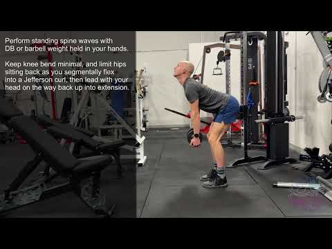 Standing Spine Wave (Loaded)