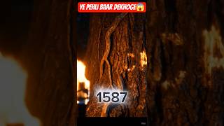 115 People Vanished Without a Trace… The Roanoke Mystery 😨 #facts #factblaze #factblazeX