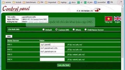 Hướng dẫn - Thay đổi DNS cho Tên miền domain quốc tế | P.A Việt Nam