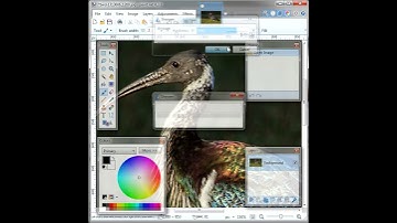 How To Sharpen Image in Paint NET #shorts  #photo #pics