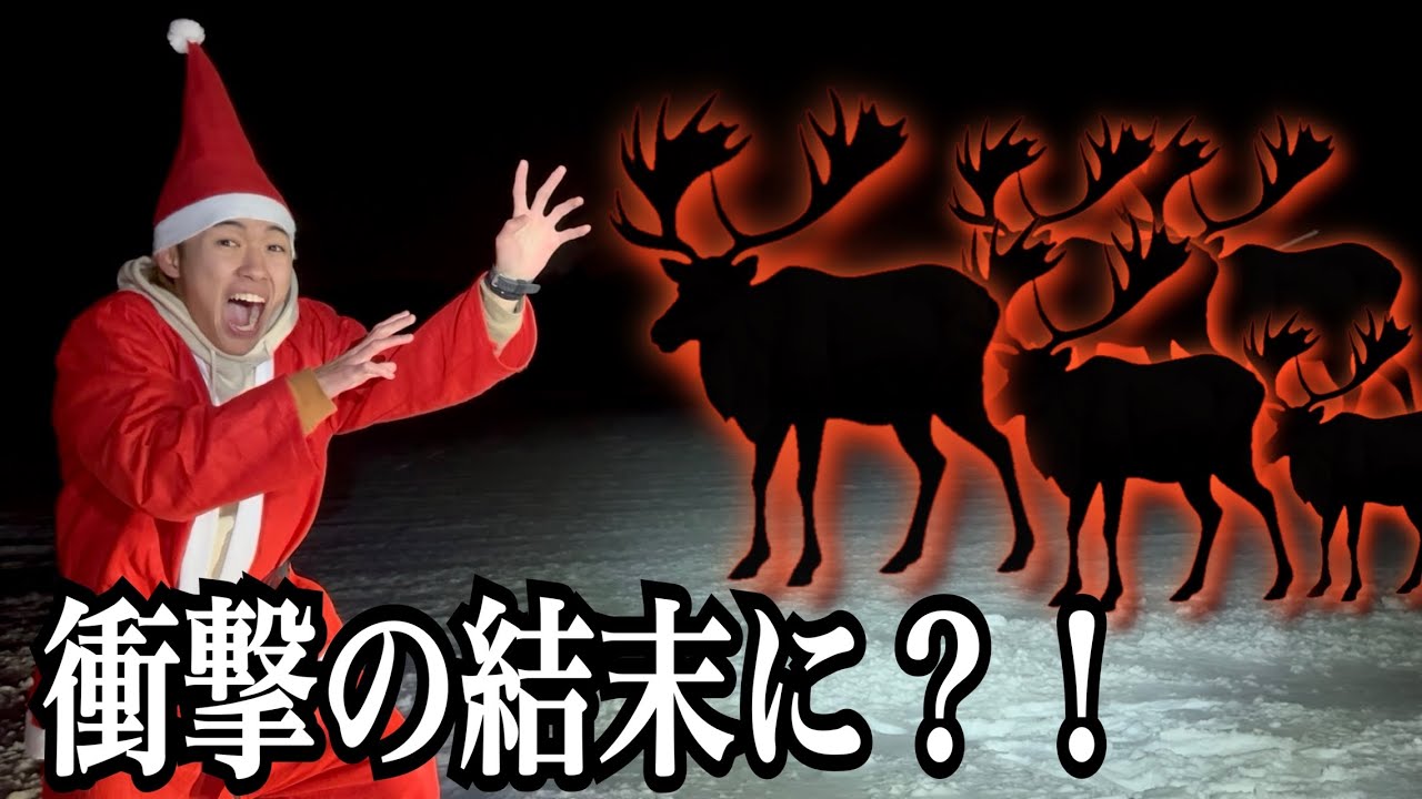 Verification] The theory that you can ride on the back of a wild