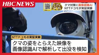 NTTドコモがクマ対策？基地局カメラと画像認識AIでクマ出没を検知「我々でしかできないシステムとして」実証実験始まる　札幌