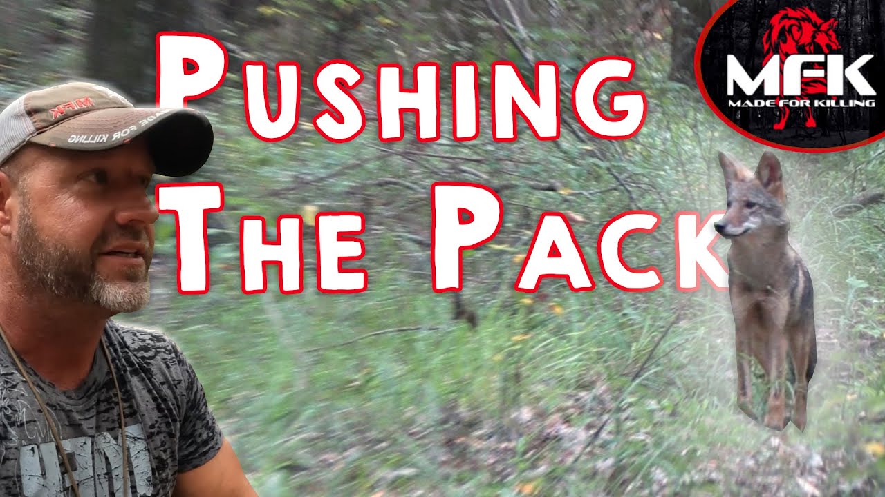 Как охотиться на койотов (серия «Two Stand»)