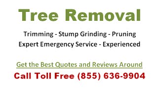 Tree Service Abilene Tx - Free Estimates and Quotes