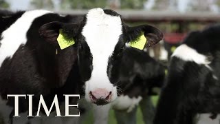 Should I Drink Nonfat Half-And-Half? | TIME