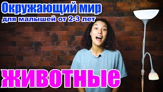 картинка: Окружающий мир для малышей. Животные