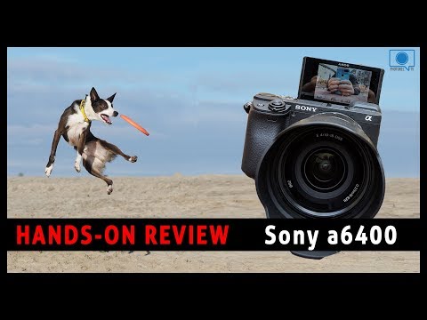 Sony a6400 Review - Great AF & IQ  BUT Several Issues!!!