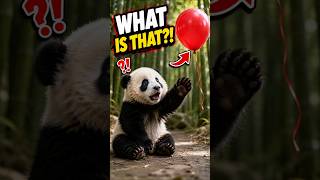 😱 Baby Panda Had Never Seen a Balloon Before! 🎈🐼