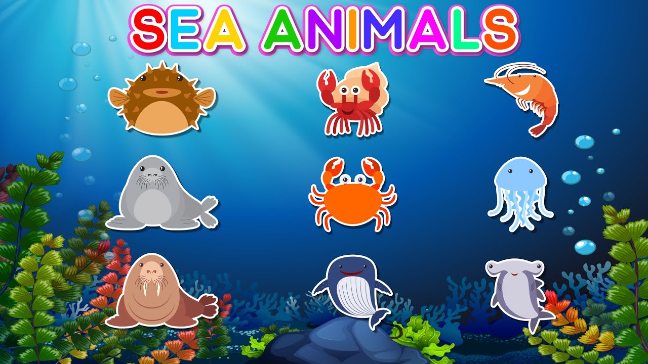 Sea Animals for Kids | Learn Ocean Animals Names and Sounds ...
