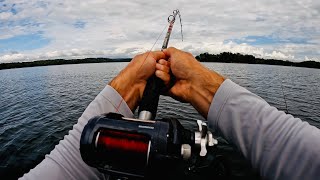 FLATHEAD BOANANZA!!!