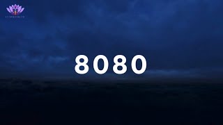 Celebrity Angel Numbers (8080 Meaning) Net Worth