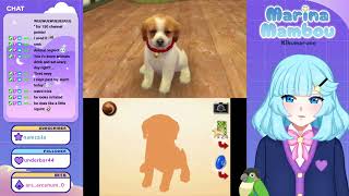 Time For a New Puppy!! [Nintendogs + Cats]  VOD 5