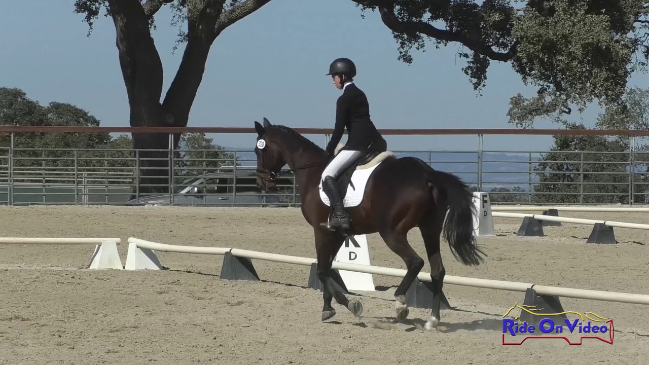 horseshoe bend 328D Audrey Trilling on Scar Face JR Beginner Novice Dressage Woodside Oct. 2019