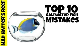 Top 10 Saltwater Fish Mistakes