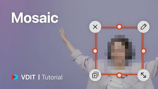 Mosaic | VDIT Basic Tutorial 10 screenshot 5