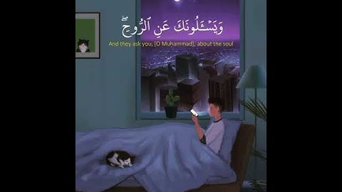 آيات القرآن الكريم(3)