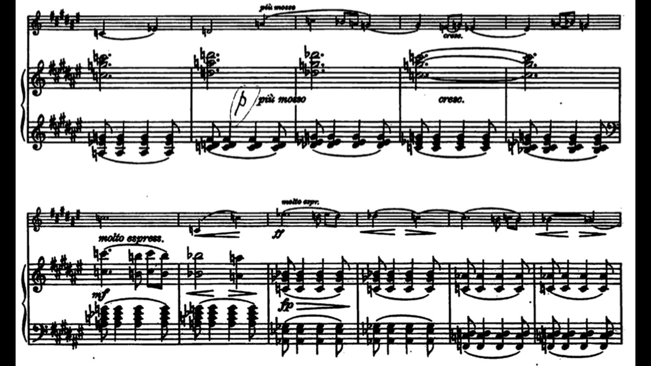 Nuit Calme (Impressions - H. Bosmans) Score Animation