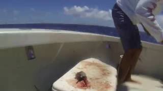 Desperado fishing on some Mahi Mahi . Carlitos GoPro stories