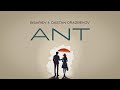 Bisariev Dastan Orazbekov ANT Lyric Video Bisariev Dastan Orazbekov ANT Lyric Video