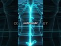 Boost Lymph Flow & Cellular Energy in 10 Minutes #shorts