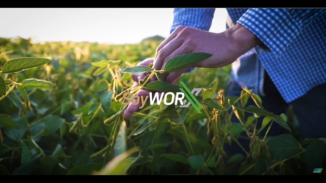 BW Fusion - SoyWORX, Seed Starter Designed Specifically for Soybeans