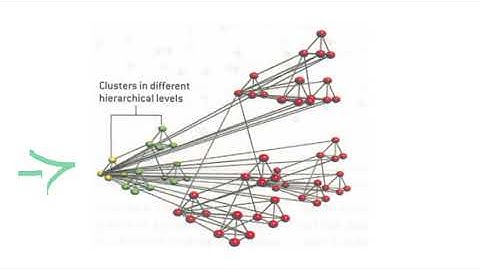 Scale Free Network question