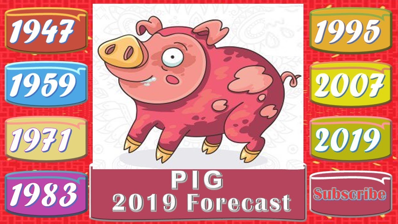 Pig Horoscope 2019 Born 1947, 1959, 1971, 1983, 1995, 2007, 2019