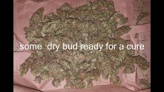 outdoor grow uk harvest dry and curing plus little taste test