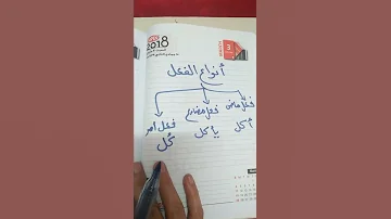 انواع الفعل ثلاثة ماضي مضارع امر 